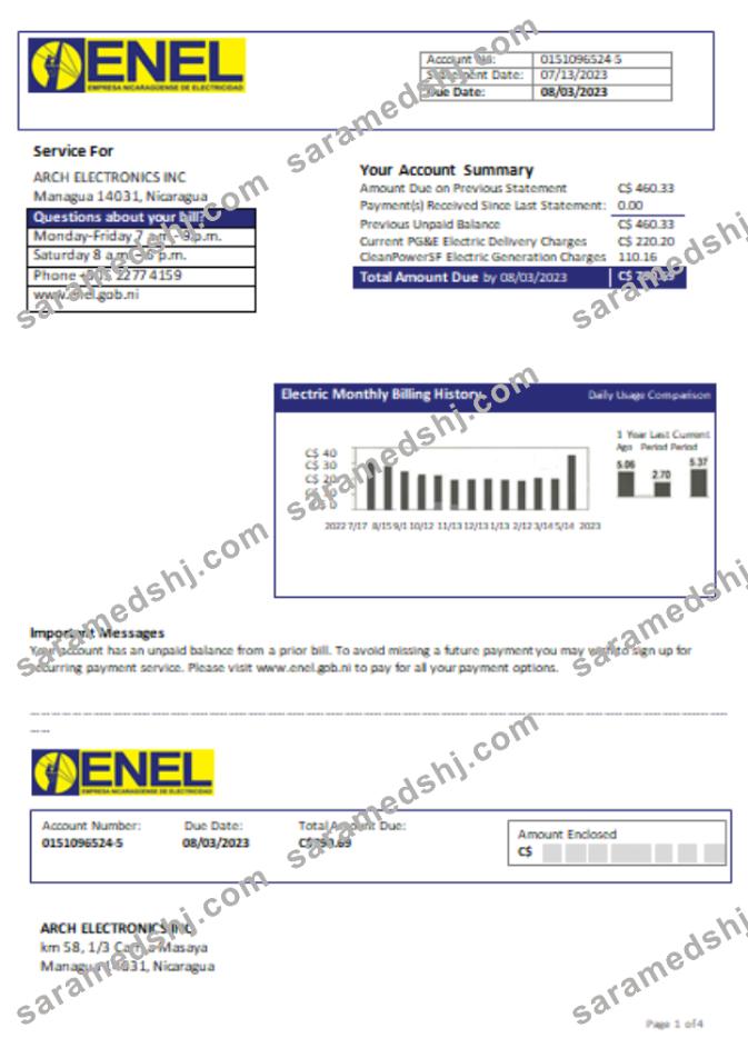 Nicaraguan Electricity Company (ENEL) electricity utility business bill, SCR